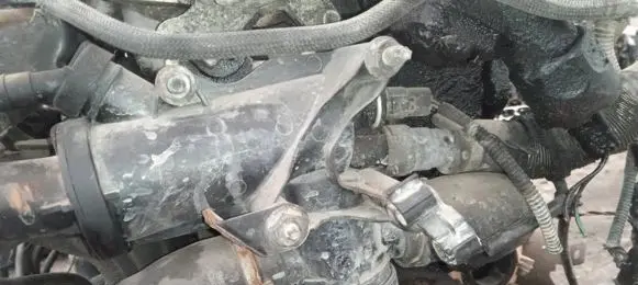 Volvo V50 Engine coolant pipe/hose