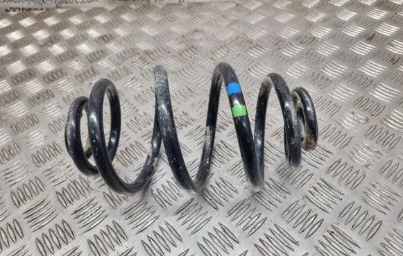 Volkswagen PASSAT B5.5 Rear coil spring