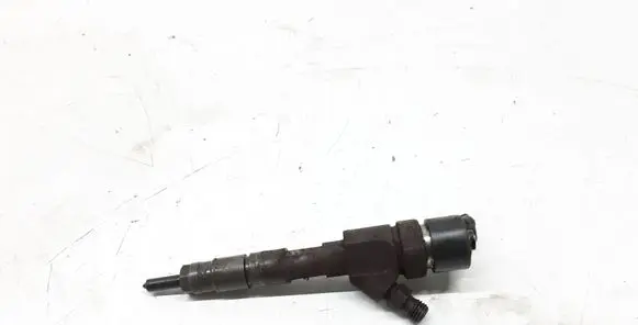 Renault Megane II Fuel injector 8200100272 0445110110B