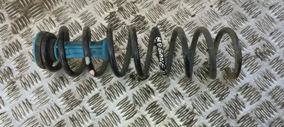 Rear coil spring