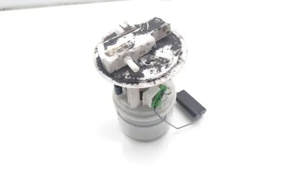 Dacia Sandero In-tank fuel pump 172022377R 05746529900