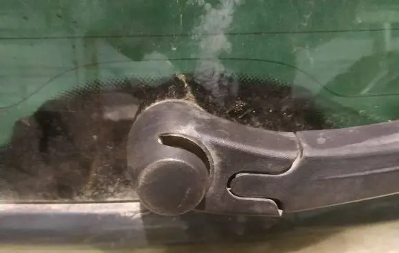 Seat Altea Rear window wiper motor 
