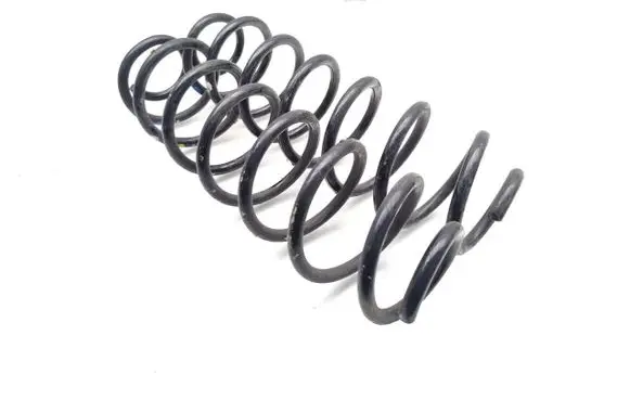 Rear coil spring