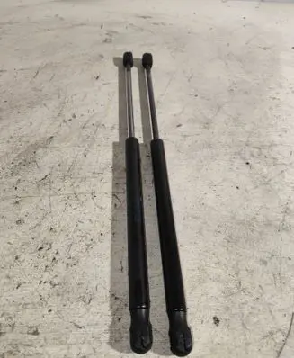 Tailgate/trunk strut/damper