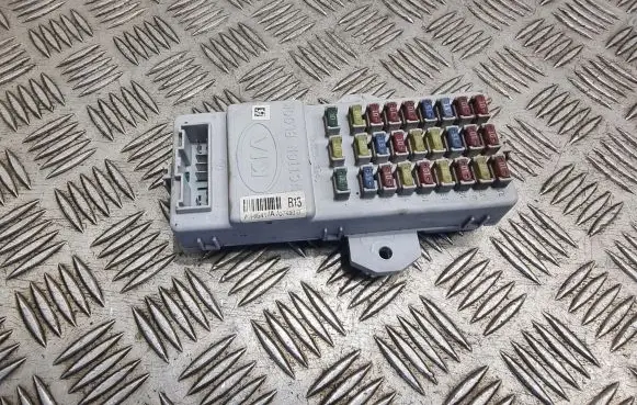 KIA Sorento Fuse module AK6541