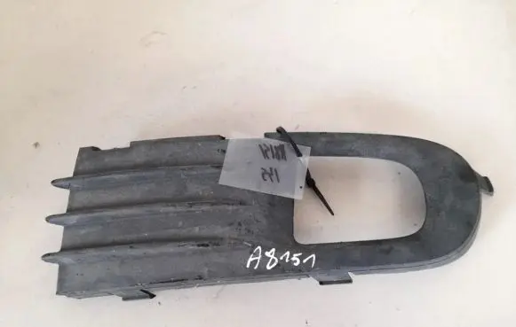 Front bumper lower grill