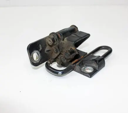 Volkswagen Phaeton Rear door lower hinge