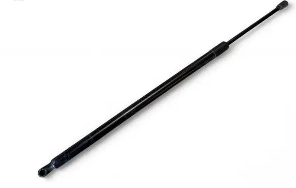 Tailgate strut