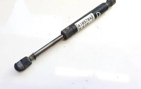 Tailgate/trunk strut/damper