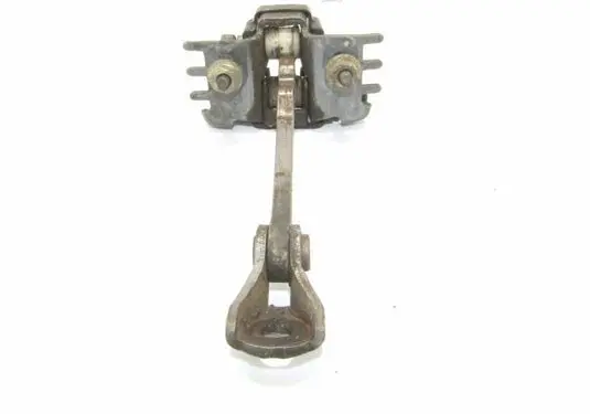 Fiat Scudo Front door check strap stopper