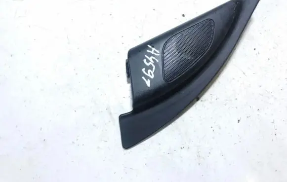 Side speaker trim/cover