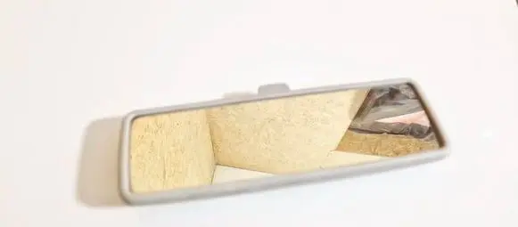 Volkswagen Sharan Rear view mirror (interior) e10110083