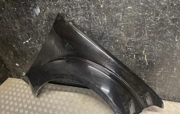 Nissan Pathfinder R51 Fender 