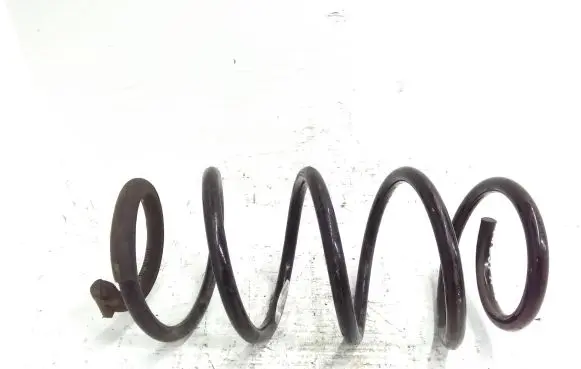 Front coil spring