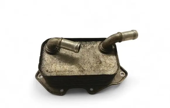 Porsche Cayenne (92A) Engine oil radiator 06E117021G