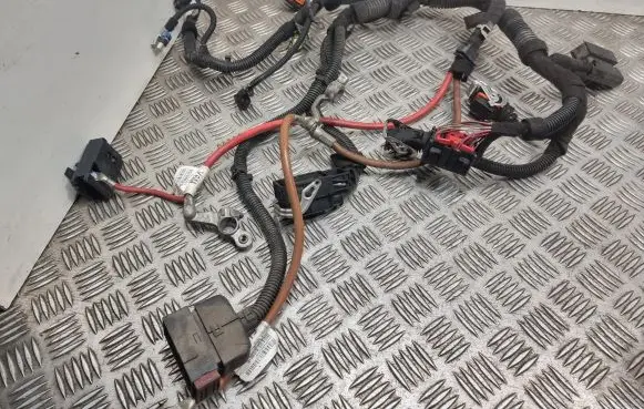 Opel Signum Engine installation wiring loom 55354511 24459586