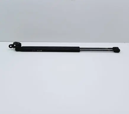Tailgate/trunk strut/damper