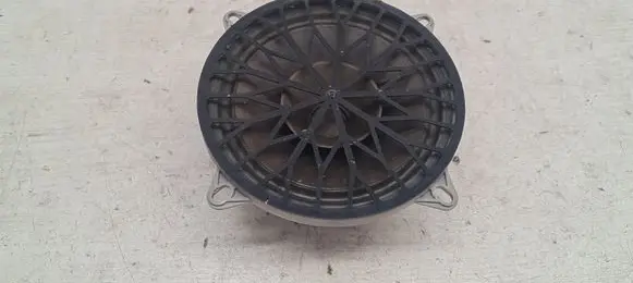 Rear door speaker
