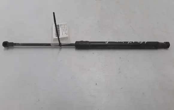 Tailgate strut