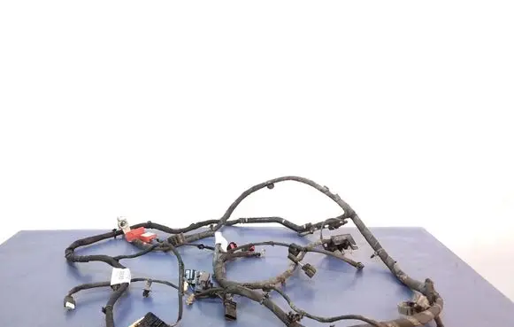Ford Focus Other wiring loom JX6T-14B060
