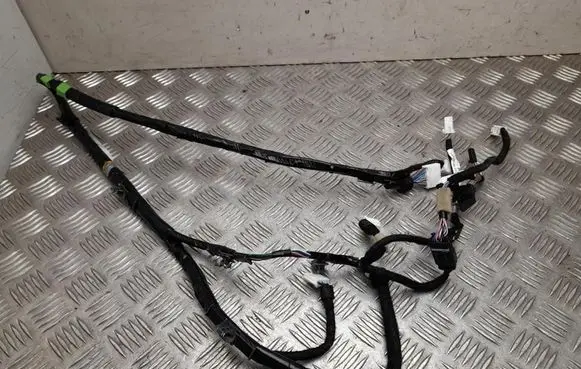 Mazda MX-30 Other wiring loom DCWL67130