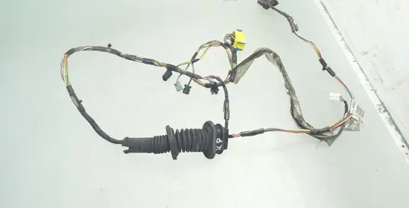 Front door wiring loom