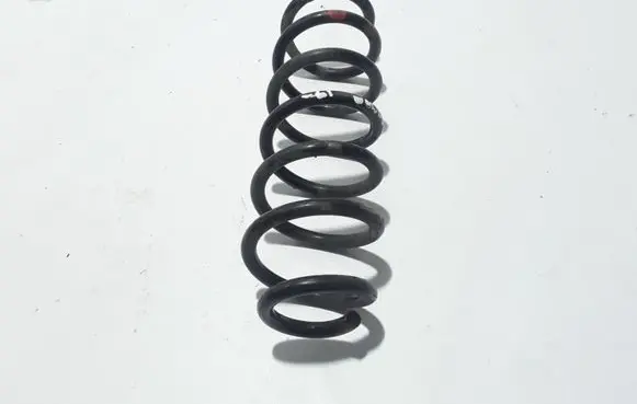 Renault Kadjar Rear coil spring 550204EA5B