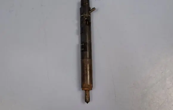 Renault Kangoo II Fuel injector 166000897R H8200827965 28237259