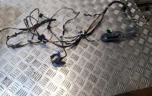 BMW X5 E70 Front door wiring loom 9242076
