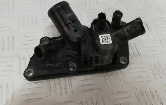 Thermostat/thermostat housing