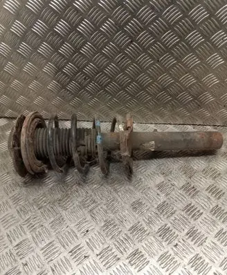 Peugeot 206 Front shock absorber with coil spring