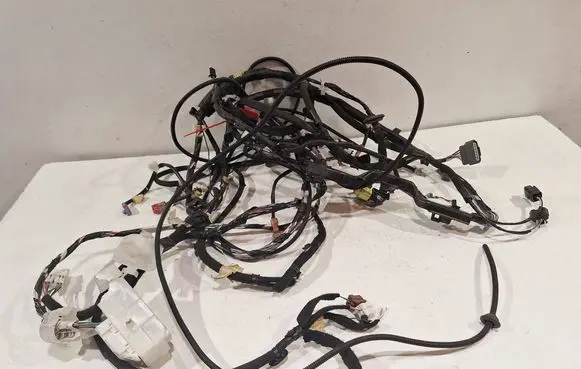 Renault Kadjar Other wiring loom 241631472R