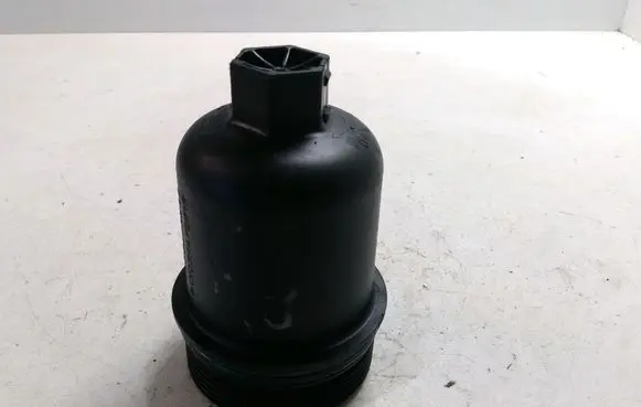 Citroen C3 Oil filter cover 9638493280