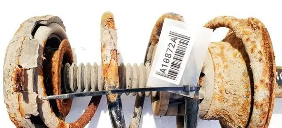 Renault Scenic I Front coil spring 