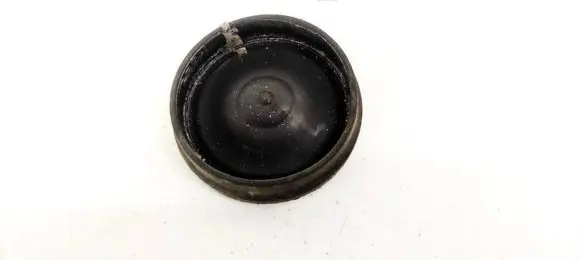 Ford S-MAX Headlight/headlamp dust cover