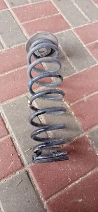 Rear coil spring