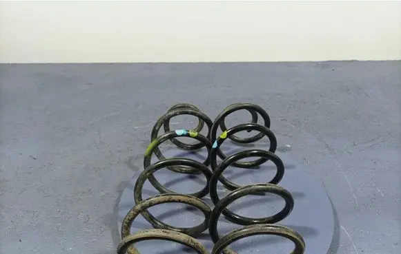 Rear coil spring