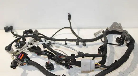 Engine installation wiring loom