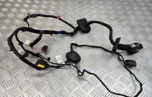 Hyundai Santa Fe Front door wiring loom 916102W244 919812W010