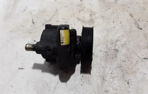 Renault Kangoo I Power steering pump 491106408R