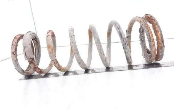 Ford Focus Rear coil spring