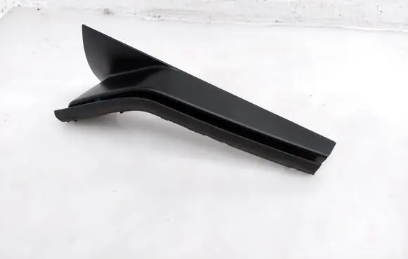 Rear/tail light trim molding