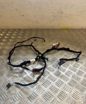 BMW i4 Other wiring loom 5A588C601 S031540