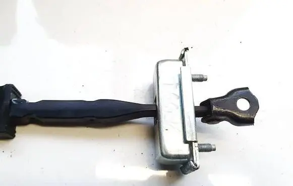 Renault Austral Rear door check strap stopper 20241014