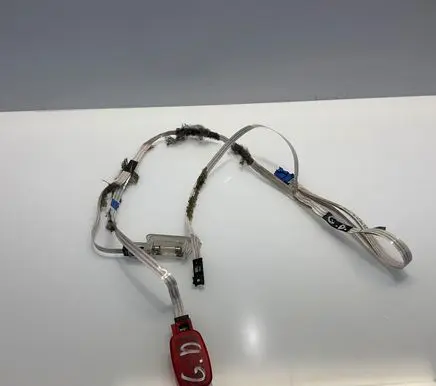 Mercedes-Benz CLS C219 Rear door wiring loom A2195404405 4310004 2195404405