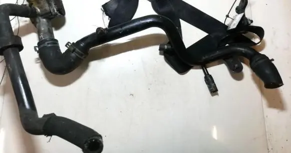 Volkswagen PASSAT B5.5 Engine coolant pipe/hose