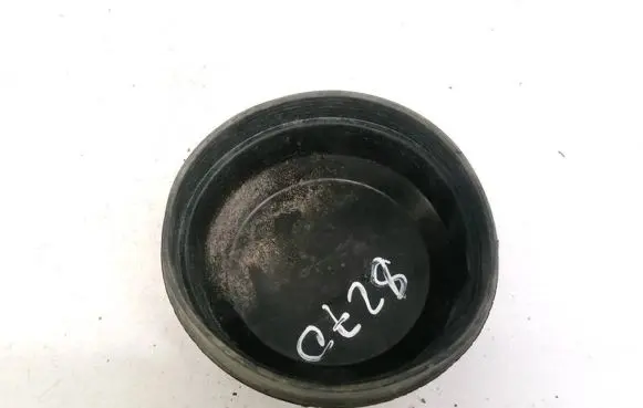 Headlight/headlamp dust cover