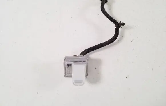 Nissan Leaf II (ZE1) Other interior light 266803NK0B
