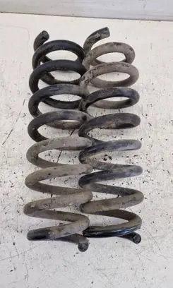Rear coil spring