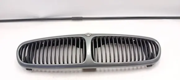 Jaguar X-Type Front grill 1X435510AE